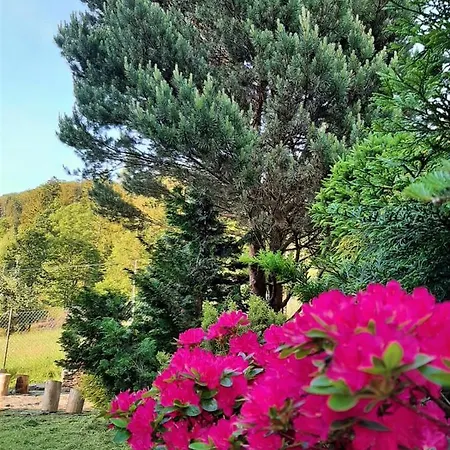 Dom wakacyjny świerkowy Domek Wisła