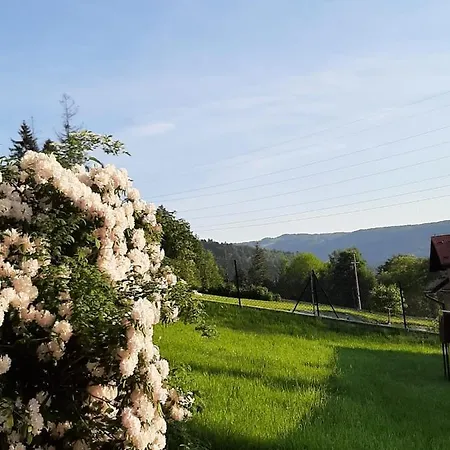 Dom wakacyjny świerkowy Domek