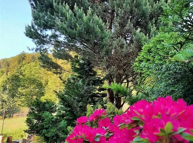 Prázdninový dům Swierkowy Domek Visla