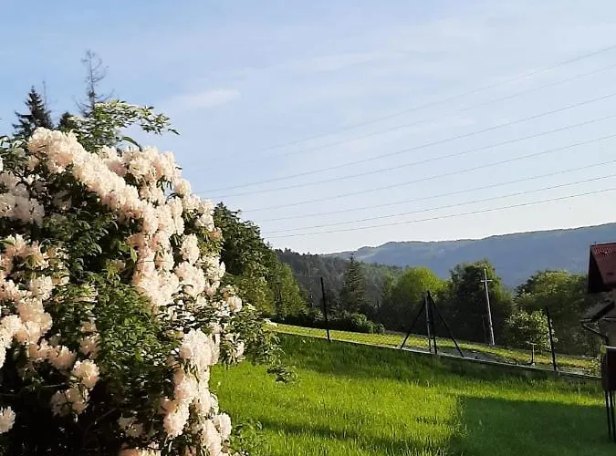 Prázdninový dům Swierkowy Domek